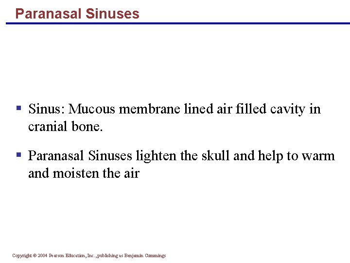 Paranasal Sinuses § Sinus: Mucous membrane lined air filled cavity in cranial bone. §