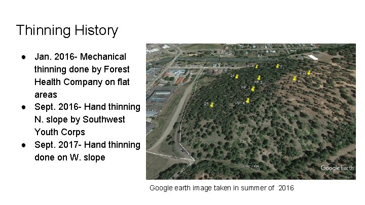 Thinning History ● Jan. 2016 - Mechanical thinning done by Forest Health Company on