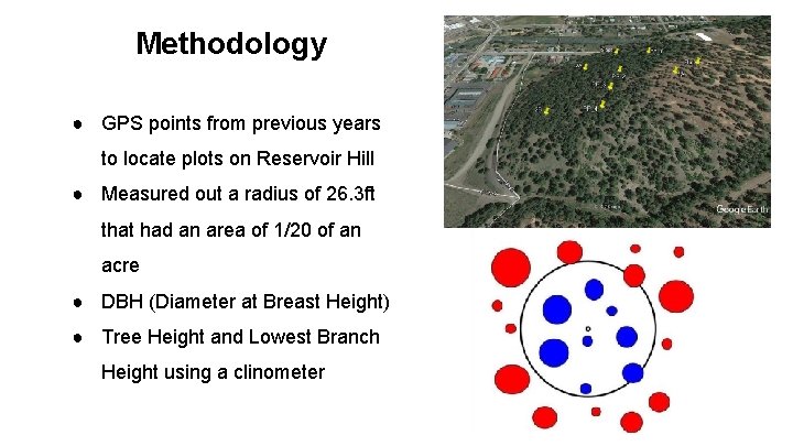 Methodology ● GPS points from previous years to locate plots on Reservoir Hill ●