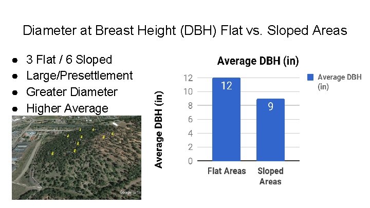 Diameter at Breast Height (DBH) Flat vs. Sloped Areas ● ● 3 Flat /