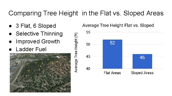 Comparing Tree Height in the Flat vs. Sloped Areas ● ● 3 Flat, 6