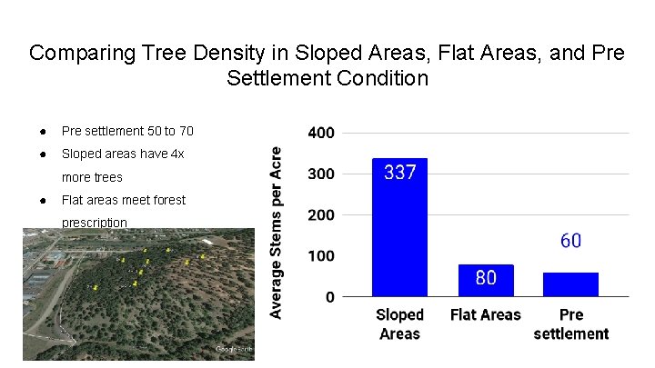 Comparing Tree Density in Sloped Areas, Flat Areas, and Pre Settlement Condition ● Pre