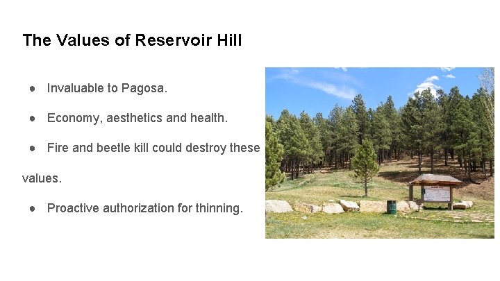 The Values of Reservoir Hill ● Invaluable to Pagosa. ● Economy, aesthetics and health.