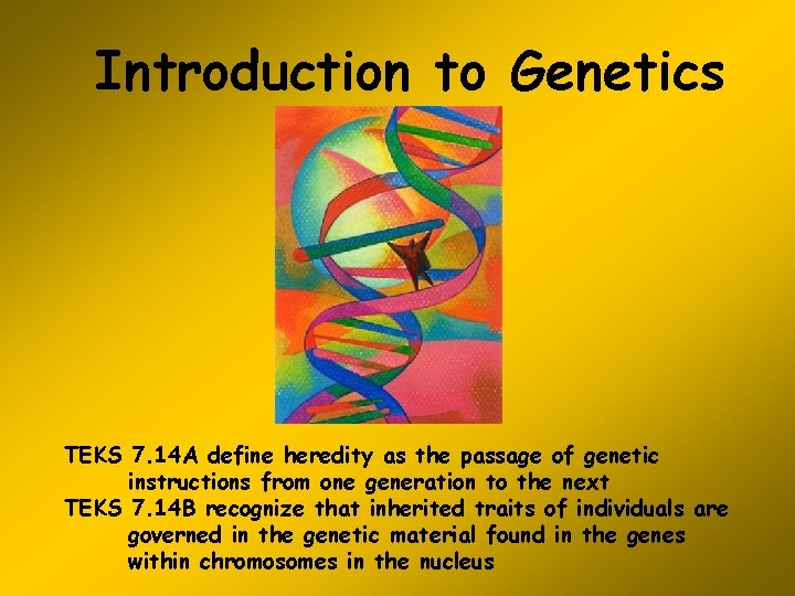 Introduction To Genetics Teks 7 14 A Define