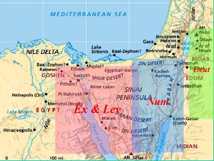 Deut Ex & Lev Num 