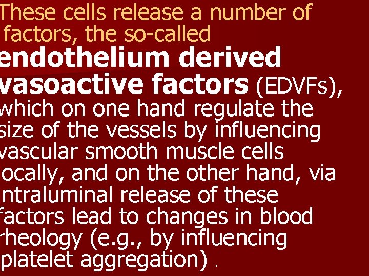 These cells release a number of factors, the so-called endothelium derived vasoactive factors (EDVFs),