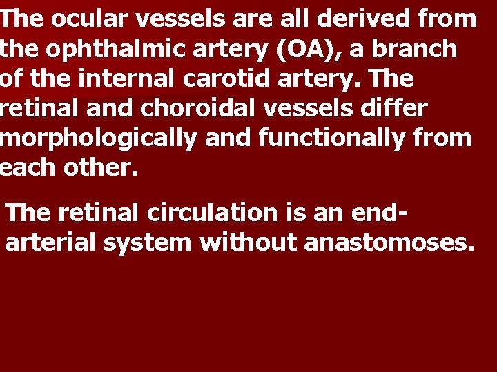 The ocular vessels are all derived from the ophthalmic artery (OA), a branch of