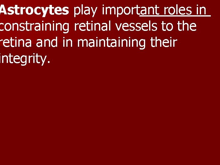 Astrocytes play important roles in constraining retinal vessels to the retina and in maintaining