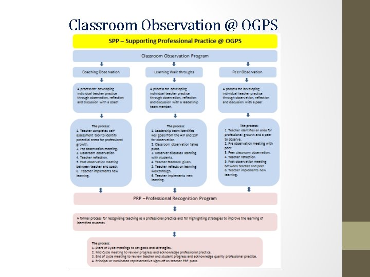 Classroom Observation @ OGPS 