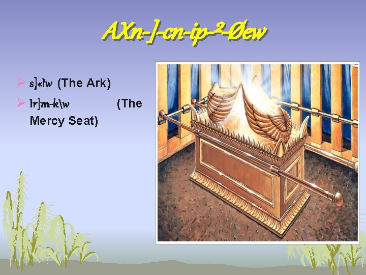 AXn-]-cn-ip-²-Øew Ø s] «Iw (The Ark) Ø Ir]m kw (The Mercy Seat) 