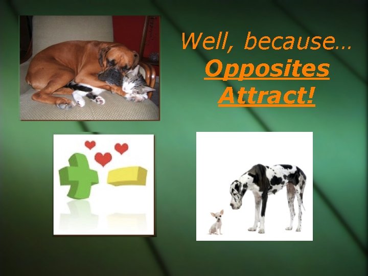 Well, because… Opposites Attract! 