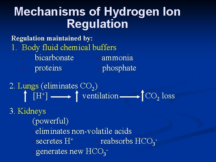 Mechanisms of Hydrogen Ion Regulation maintained by: 1. Body fluid chemical buffers - bicarbonate