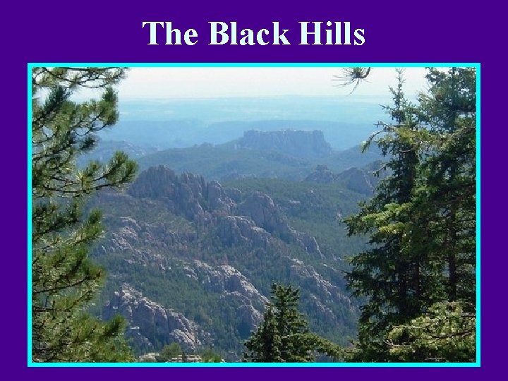 The Black Hills 