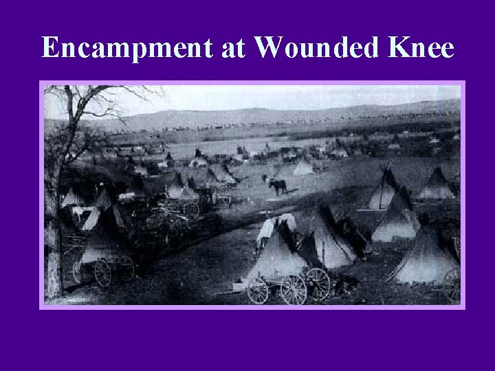 Encampment at Wounded Knee 