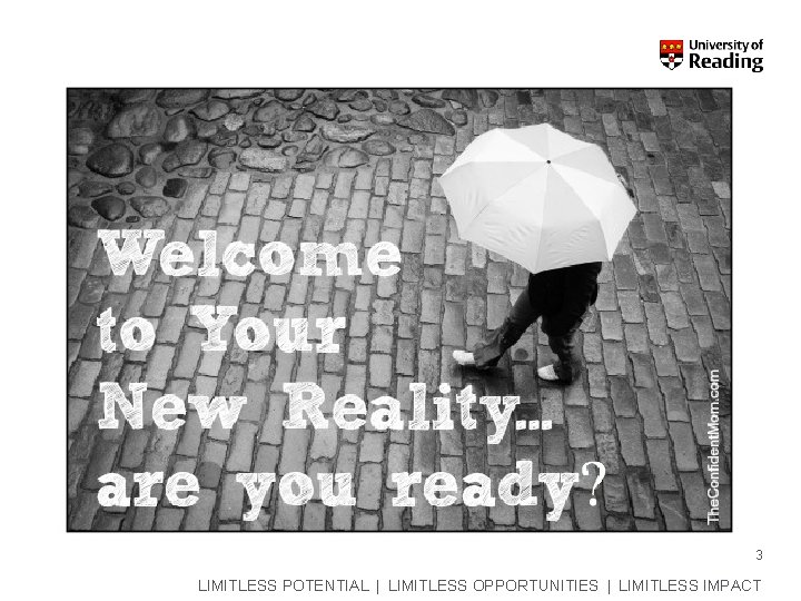 3 LIMITLESS POTENTIAL | LIMITLESS OPPORTUNITIES | LIMITLESS IMPACT 