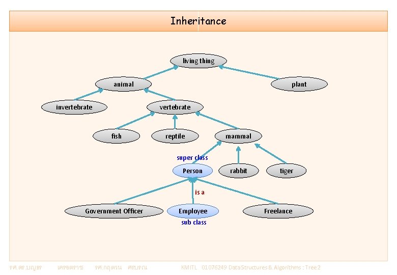 Inheritance living thing animal invertebrate plant vertebrate fish reptile mammal super class Person rabbit