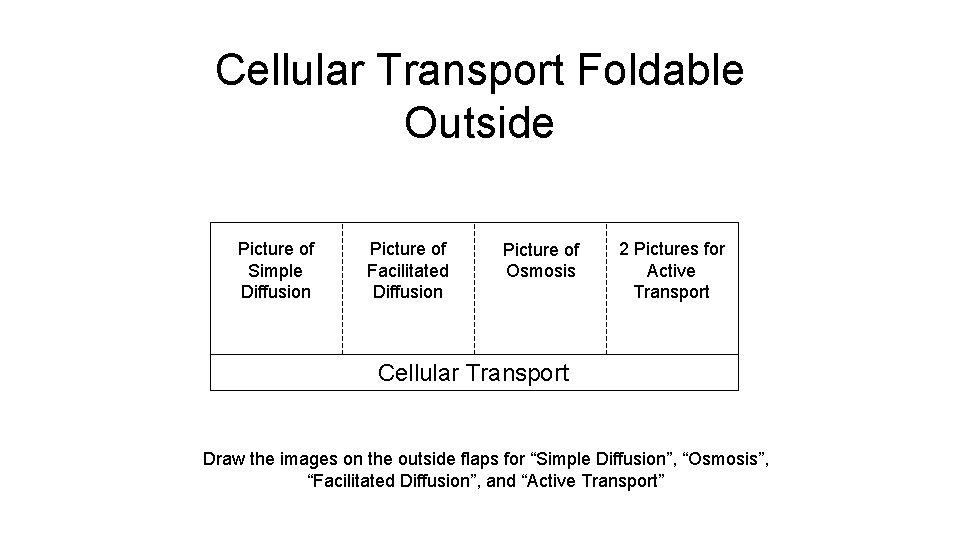 Cellular Transport Foldable Outside Picture of Simple Diffusion Picture of Facilitated Diffusion Picture of