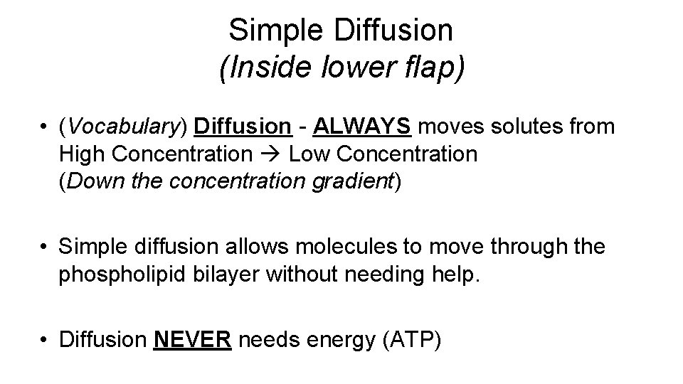 Simple Diffusion (Inside lower flap) • (Vocabulary) Diffusion - ALWAYS moves solutes from High