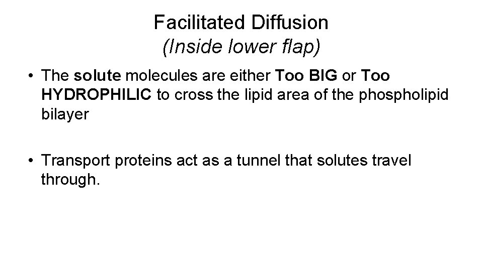 Facilitated Diffusion (Inside lower flap) • The solute molecules are either Too BIG or Facilitated Diffusion (Inside lower flap) • The solute molecules are either Too BIG or