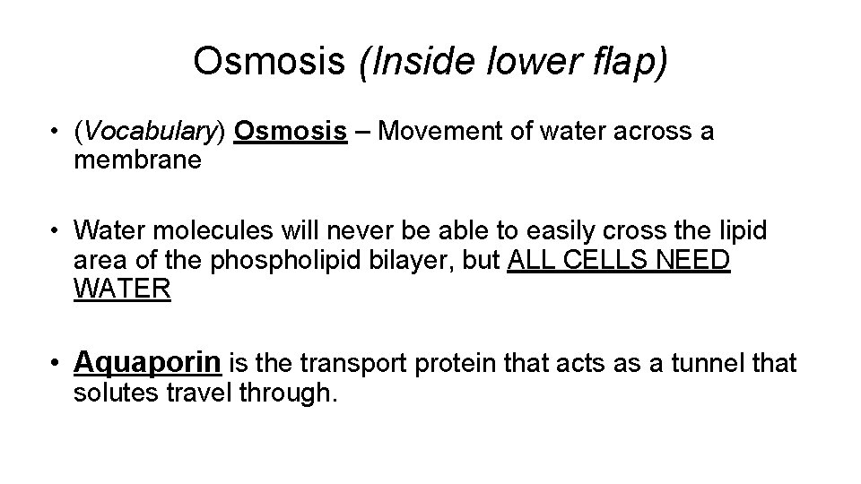 Osmosis (Inside lower flap) • (Vocabulary) Osmosis – Movement of water across a membrane Osmosis (Inside lower flap) • (Vocabulary) Osmosis – Movement of water across a membrane