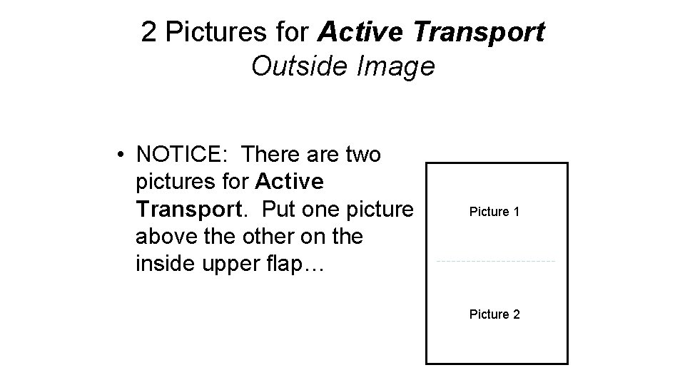 2 Pictures for Active Transport Outside Image • NOTICE: There are two pictures for