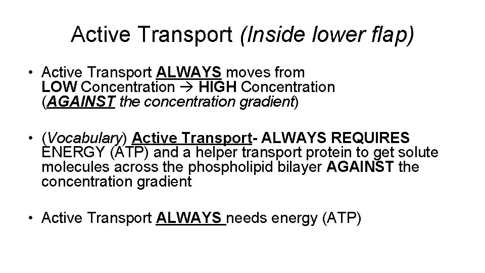 Active Transport (Inside lower flap) • Active Transport ALWAYS moves from LOW Concentration HIGH Active Transport (Inside lower flap) • Active Transport ALWAYS moves from LOW Concentration HIGH
