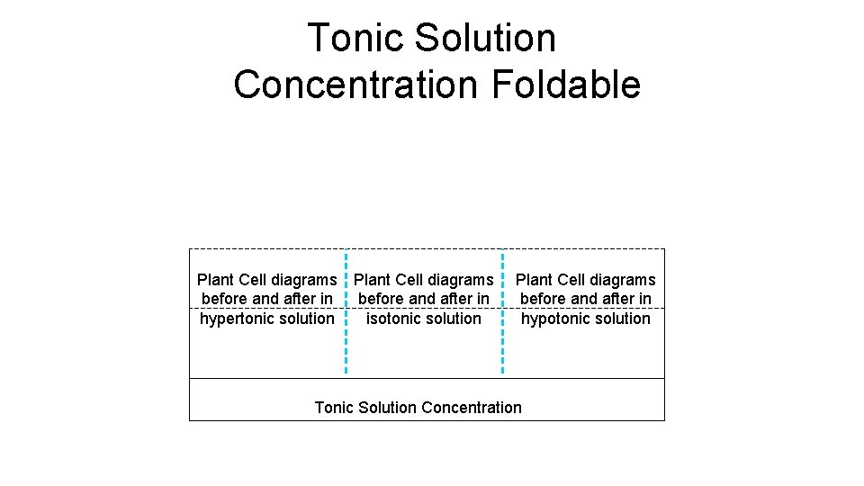 Tonic Solution Concentration Foldable Plant Cell diagrams before and after in hypertonic solution isotonic Tonic Solution Concentration Foldable Plant Cell diagrams before and after in hypertonic solution isotonic