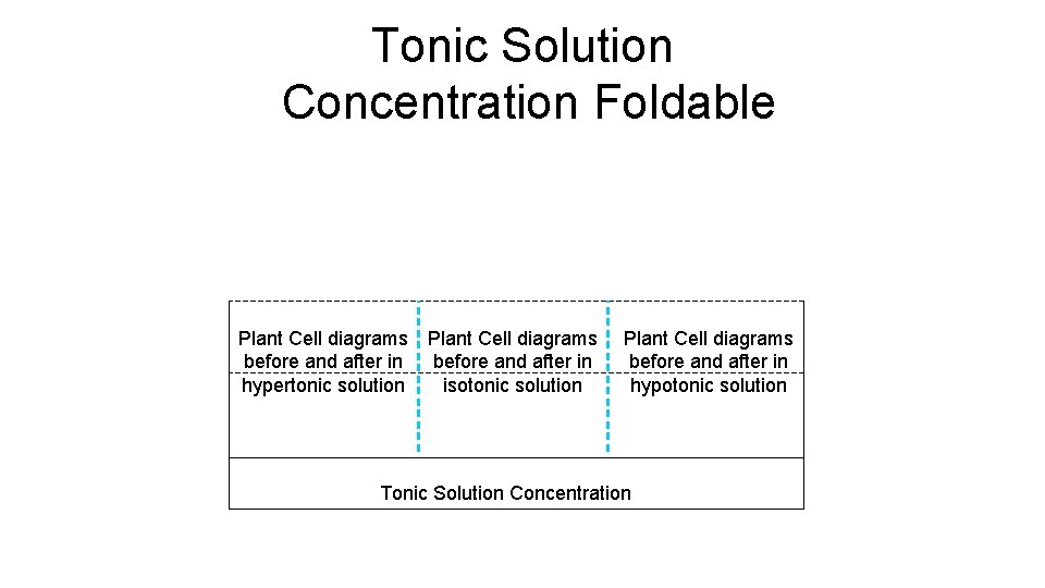 Tonic Solution Concentration Foldable Plant Cell diagrams before and after in hypertonic solution isotonic