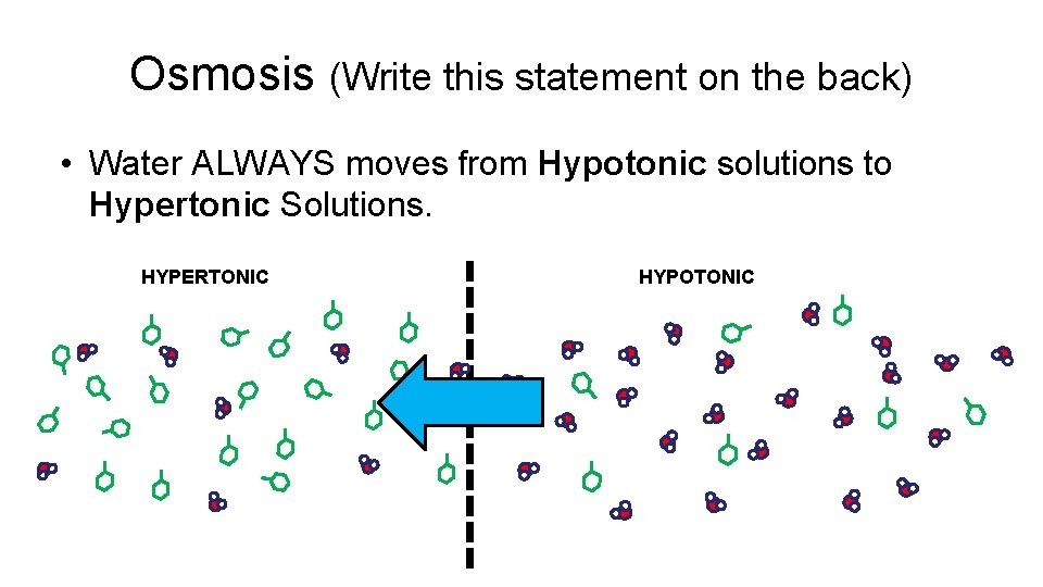 Osmosis (Write this statement on the back) • Water ALWAYS moves from Hypotonic solutions