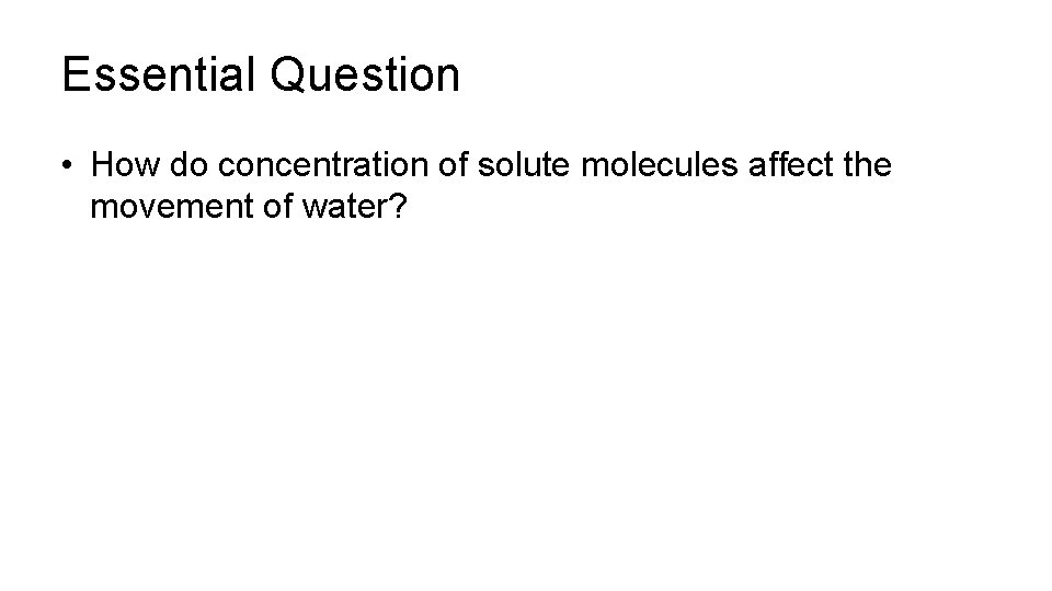 Essential Question • How do concentration of solute molecules affect the movement of water? Essential Question • How do concentration of solute molecules affect the movement of water?