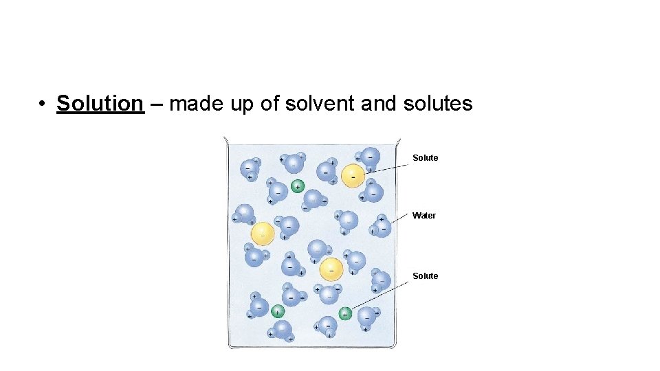  • Solution – made up of solvent and solutes Solute Water Solute 