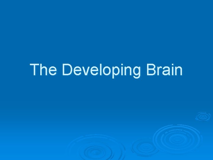 The Developing Brain 