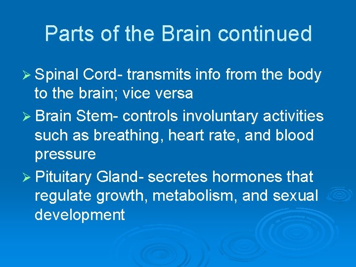 Parts of the Brain continued Ø Spinal Cord- transmits info from the body to