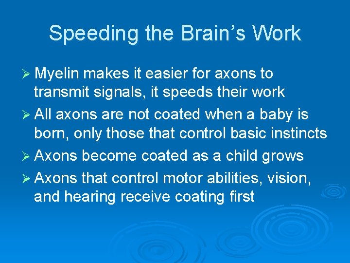 Speeding the Brain’s Work Ø Myelin makes it easier for axons to transmit signals,