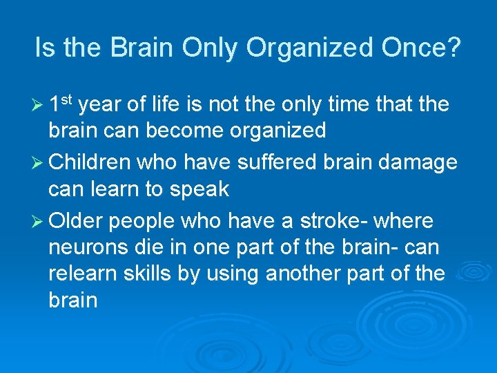 Is the Brain Only Organized Once? Ø 1 st year of life is not