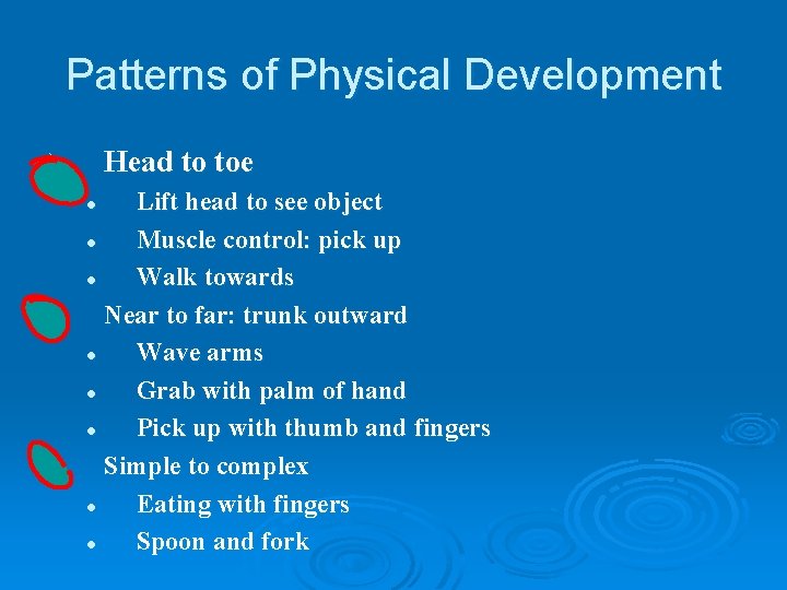 Patterns of Physical Development Head to toe Ø Lift head to see object l