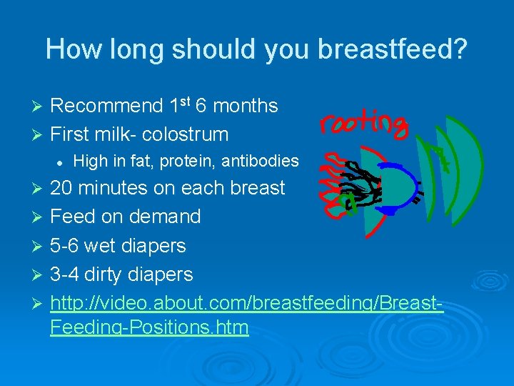 How long should you breastfeed? Recommend 1 st 6 months Ø First milk- colostrum