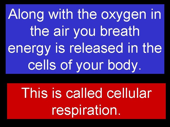 Along with the oxygen in the air you breath energy is released in the