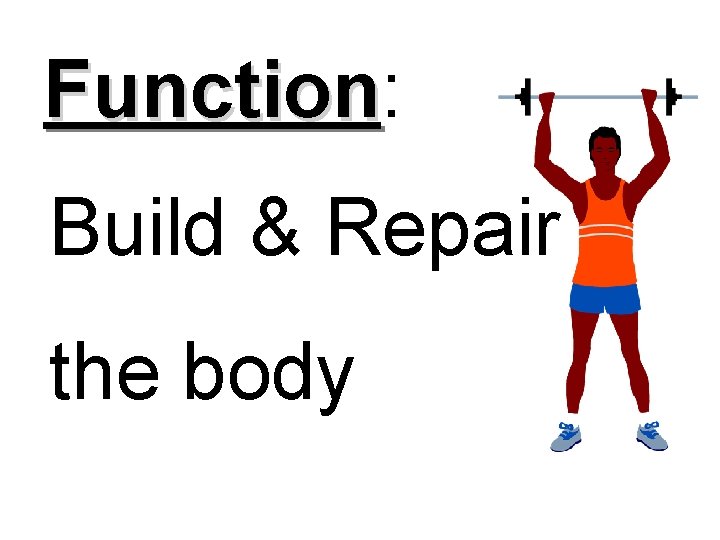 Function: Function Build & Repair the body 