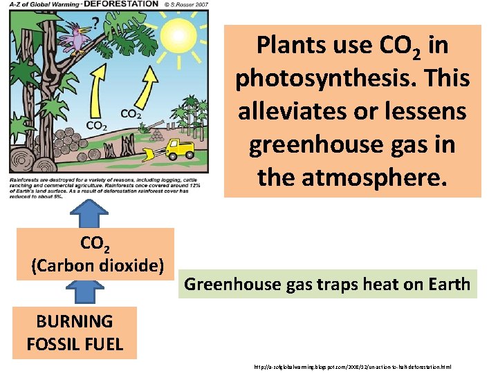 Plants use CO 2 in photosynthesis. This alleviates or lessens greenhouse gas in the