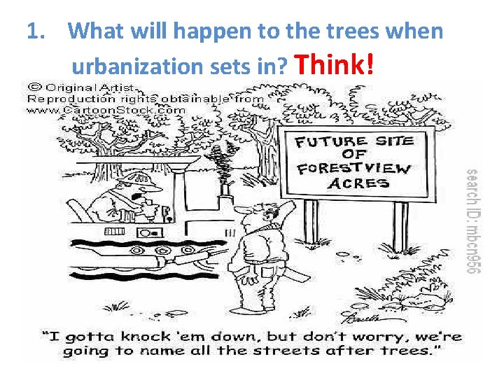 1. What will happen to the trees when urbanization sets in? Think! 