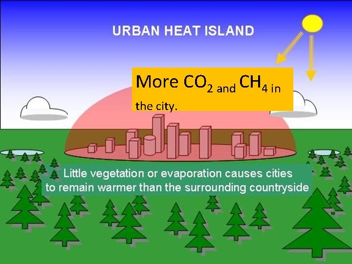 More CO 2 and CH 4 in the city. 