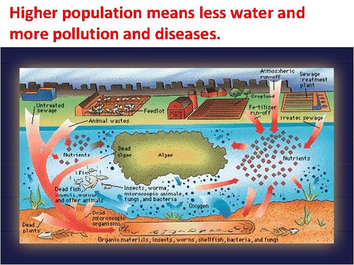 Higher population means less water and more pollution and diseases. 