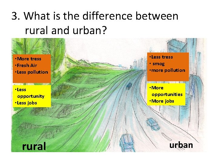 3. What is the difference between rural and urban? • More tress • Fresh