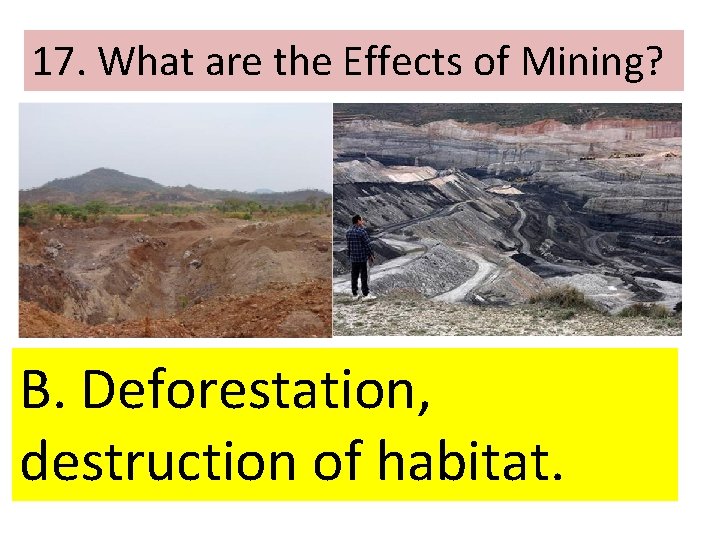 17. What are the Effects of Mining? B. Deforestation, destruction of habitat. 