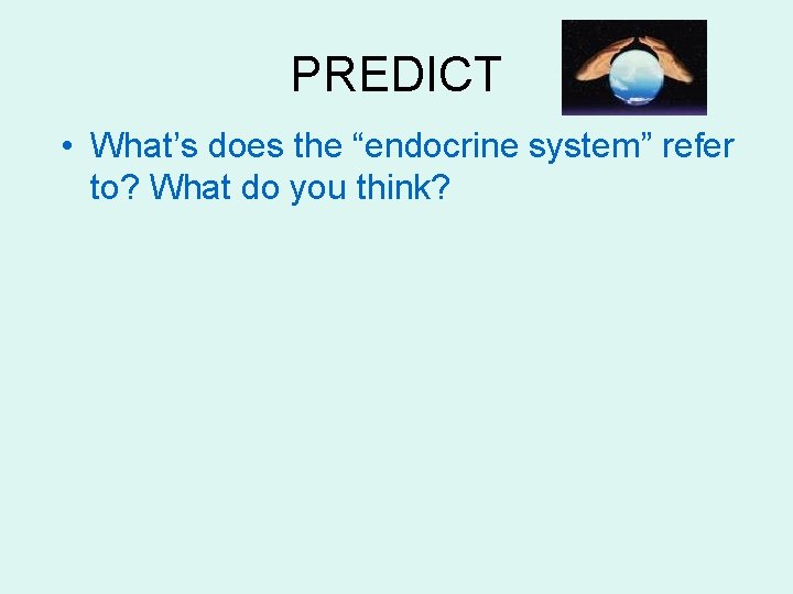 PREDICT • What’s does the “endocrine system” refer to? What do you think? 