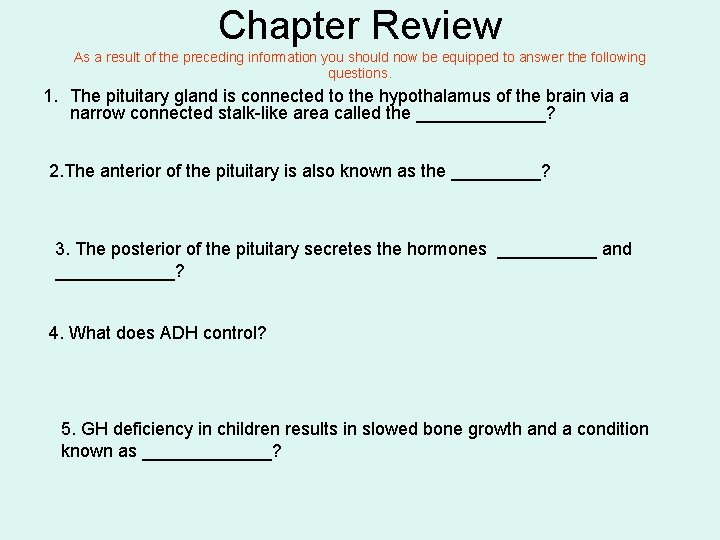 Chapter Review As a result of the preceding information you should now be equipped