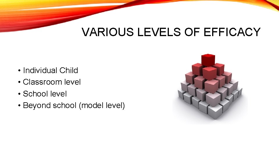 VARIOUS LEVELS OF EFFICACY • Individual Child • Classroom level • School level •