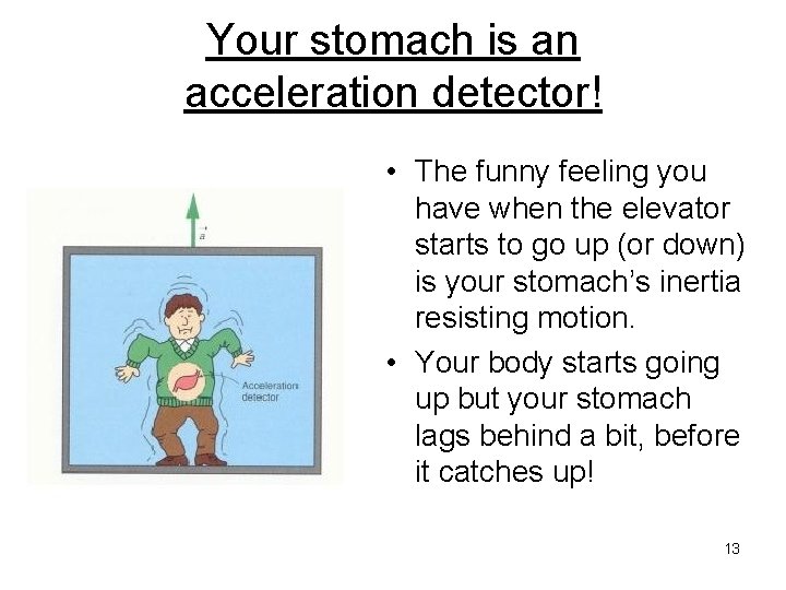 Your stomach is an acceleration detector! • The funny feeling you have when the