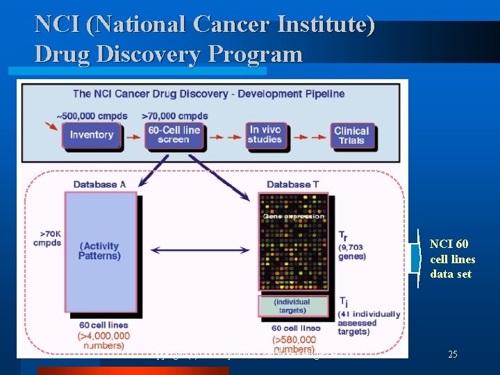 NCI (National Cancer Institute) Drug Discovery Program NCI 60 cell lines data set Copyright